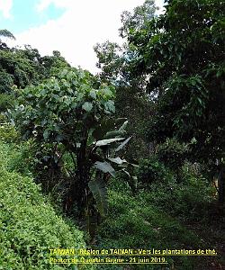 02 Taiwan- Region de Tainan 027